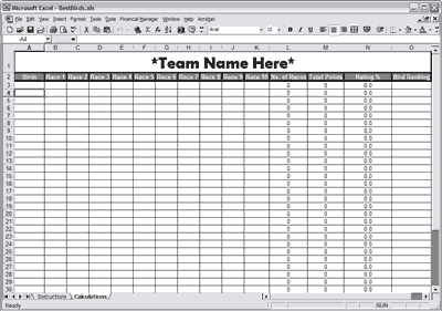 Calculations Page (Excel verison Shown).